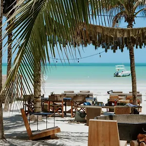 Casa Tortugas Petit Hotel&spa 4*, Isla Holbox México